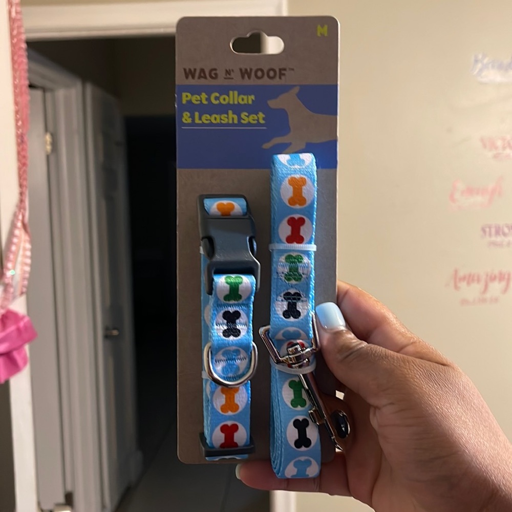 Pet collar and leash set